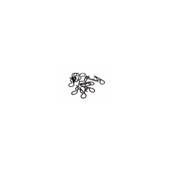 BODY CLIPS HD BLACK (12)