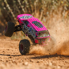 1/10 ARRMA GORGON 223S