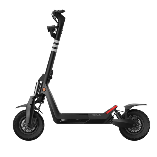 Panther ES800 Off-Road Electric Scooter