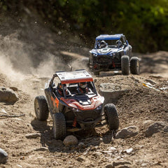 1/10 Losi RZR Rey